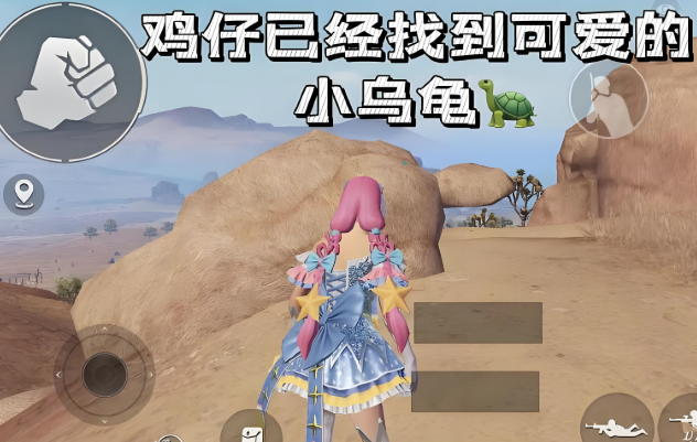 和平精英小乌龟打卡点位置在哪1