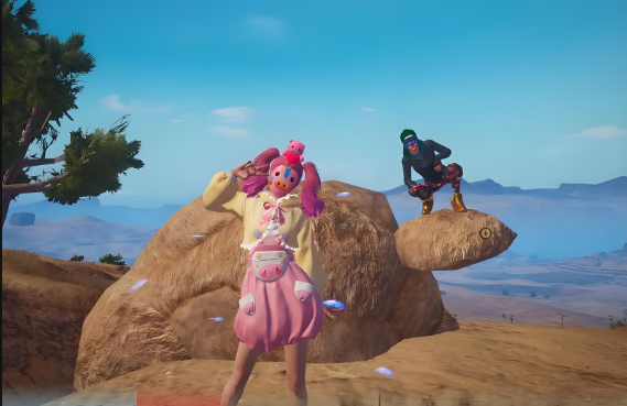 和平精英小乌龟打卡点位置在哪3