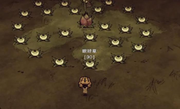 饥荒食人花有什么特性1