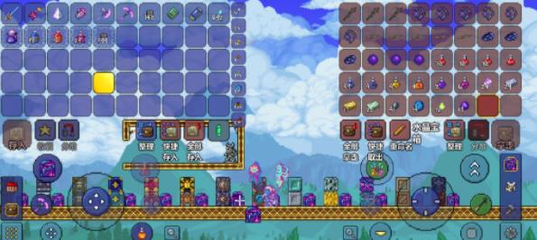 泰拉瑞亚冰冻匣有哪些物品1