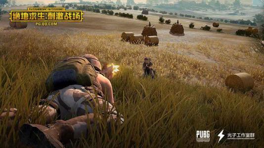 绝地求生闪退详细解决办法介绍1