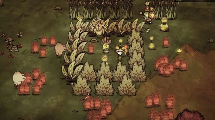 饥荒联机版出生地群系有哪些生成物2