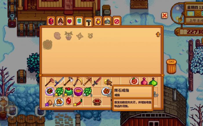 星露谷物语冷门戒指有哪些2