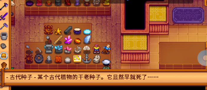 星露谷物语上古种子如何获取1