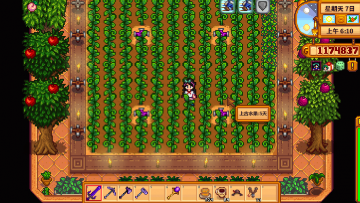 星露谷物语上古种子如何获取3