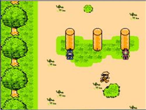 火影忍者许愿宝库S忍礼包领取指南与地址分享1