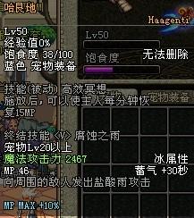 DNF宠物全解析各类宠物属性详细介绍5