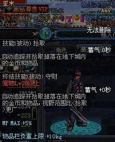 DNF宠物全解析各类宠物属性详细介绍9