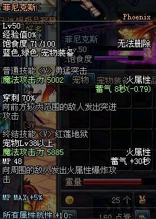 DNF宠物全解析各类宠物属性详细介绍10