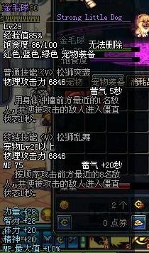 DNF宠物全解析各类宠物属性详细介绍15