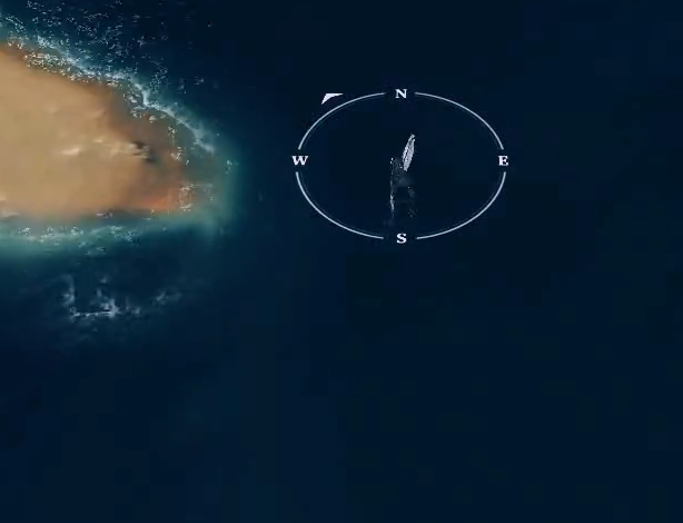 风帆纪元金鹿号强度解析3