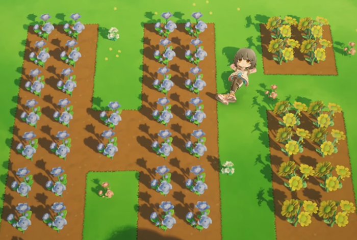 星布谷地联机种田方法揭秘4