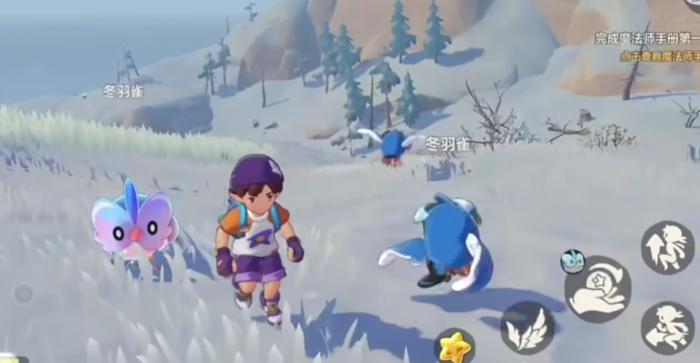 洛克王国世界冬羽雀多少级进化3