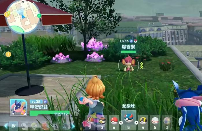 宝可梦传说Z-A爆香猴强度解析1