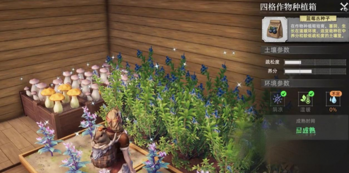 荒原曙光怎么浇水2