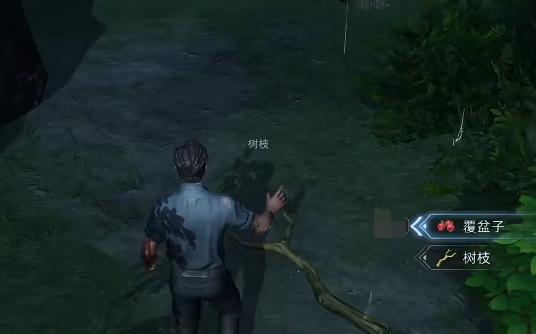 荒原曙光坐骑大全6