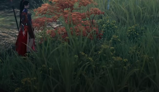 下一站江湖2琴艺提升全攻略4