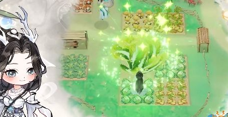 华夏千秋好感度怎么提升4