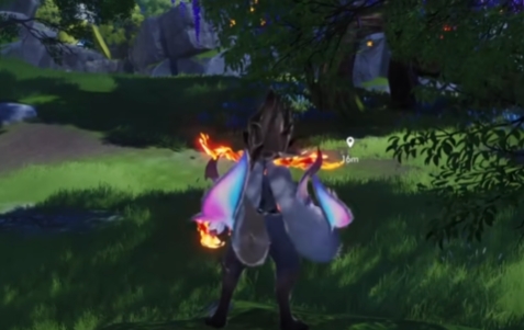 伊莫日耀狮宠物介绍1