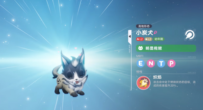 伊莫小炭犬怎么样3