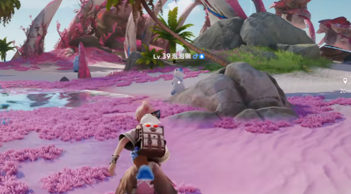 伊莫鲸落浅滩收集攻略1