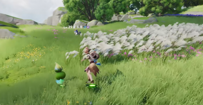 伊莫鲸落浅滩收集攻略6