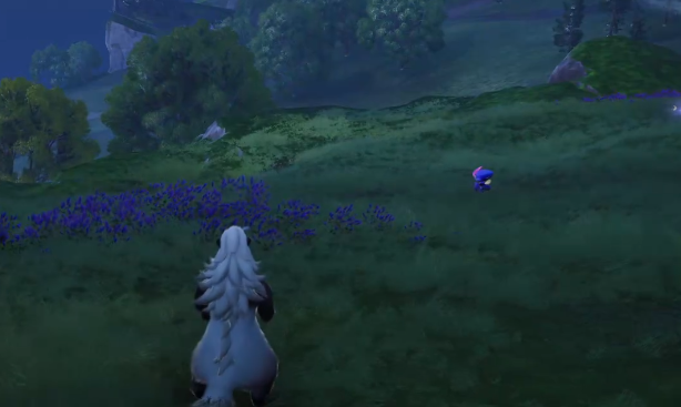 伊莫青石台捕捉攻略2