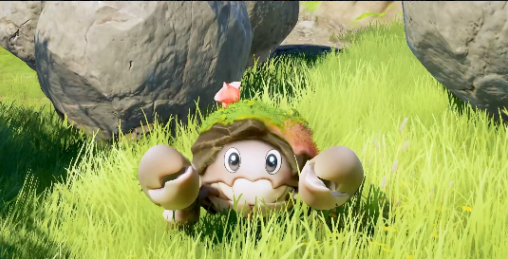 伊莫花芽蟹如何捕捉2