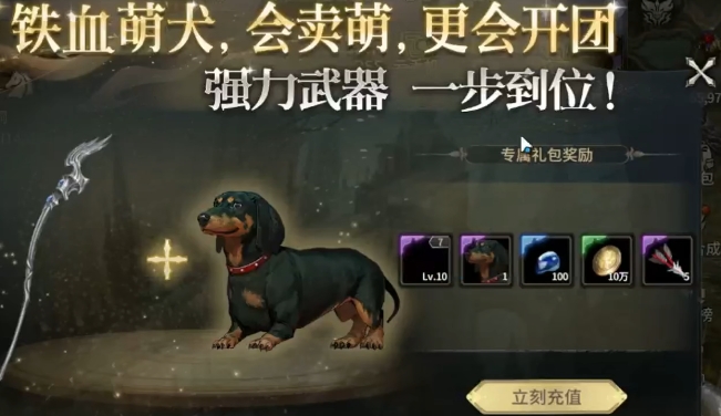 奇迹世界起源宠物有哪些1