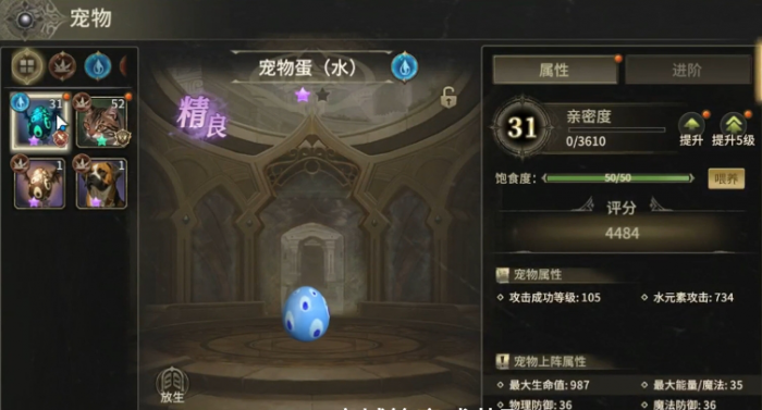 奇迹世界起源宠物有哪些5