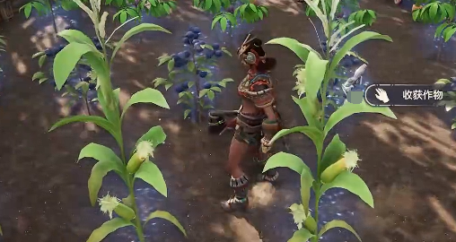 荒野起源玉米怎么获取2