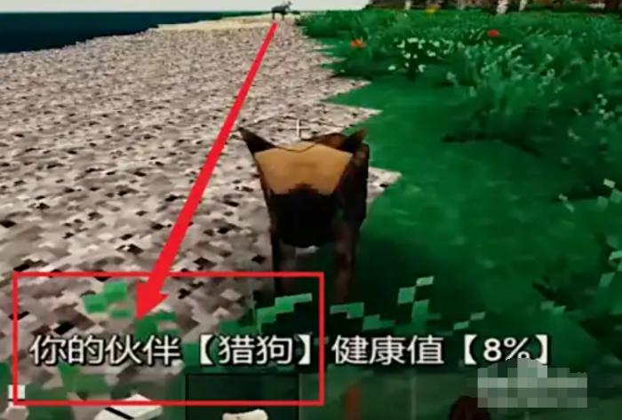 生存战争2怎么驯服狗4