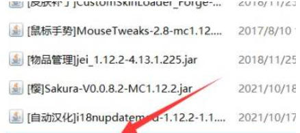 我的世界国际版怎么导入模组5