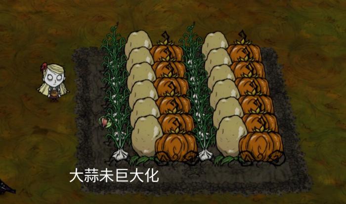 饥荒作物巨大化怎么达成1