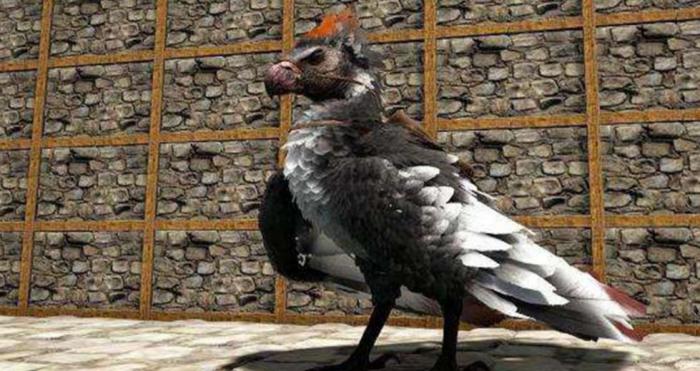 方舟生存进化阿根廷巨鹰怎么驯服3