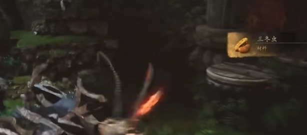 黑神话悟空三冬虫怎么获取2