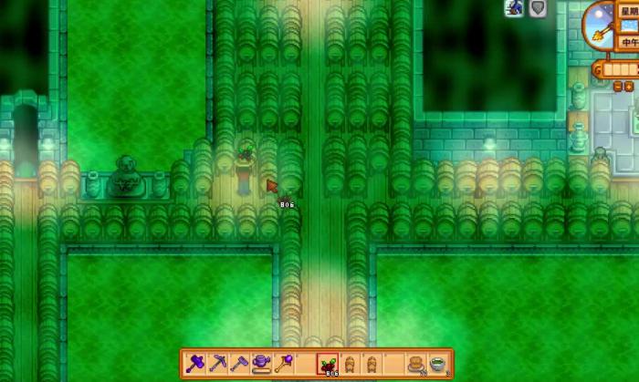 星露谷物语下水道内部有什么玩法2