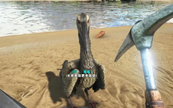 方舟生存进化鱼鸟特性是什么1