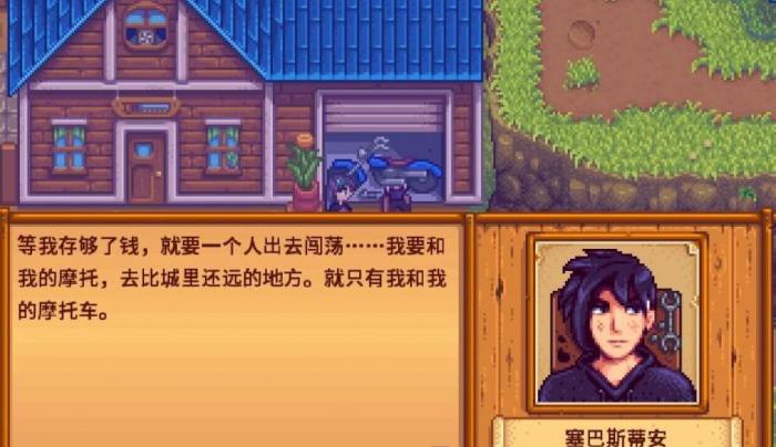 星露谷物语塞巴斯蒂安喜欢什么礼物1