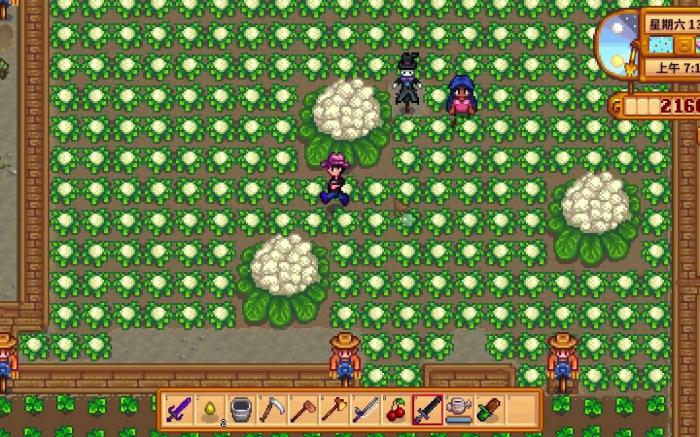 星露谷物语花椰菜有哪些特性1