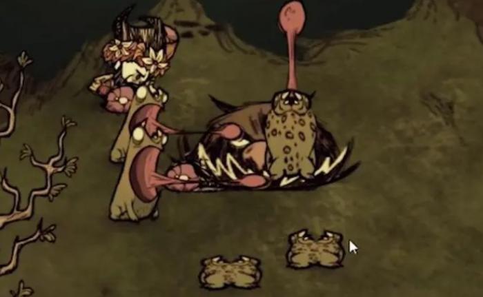 饥荒联机版青蛙有哪些应对方法2