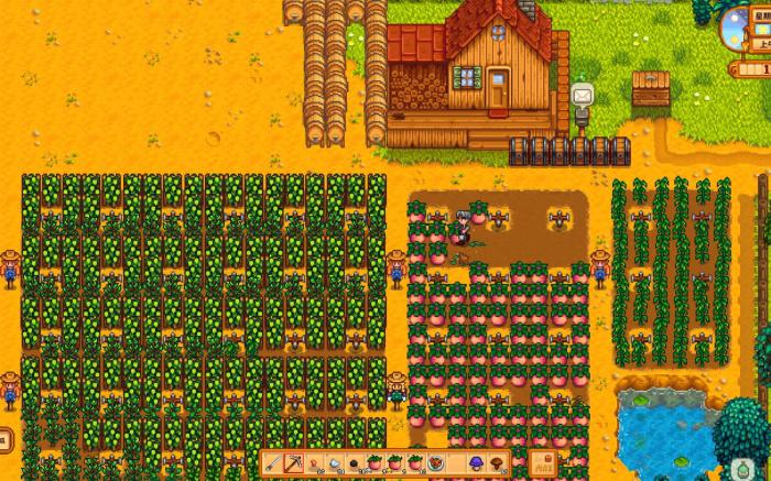 星露谷物语夏季有哪些必做的事情1