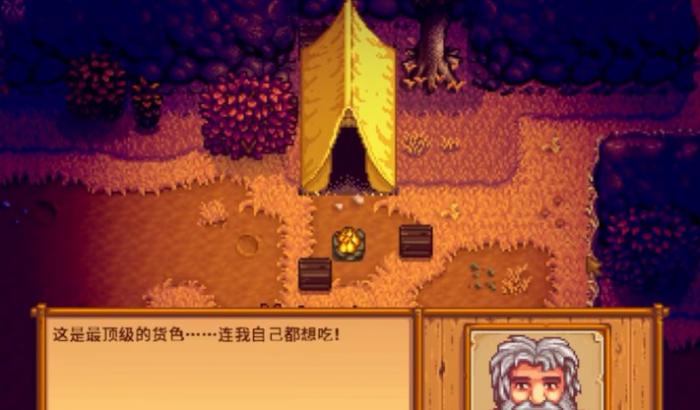 星露谷物语提升哪些村民的友谊收益最大2