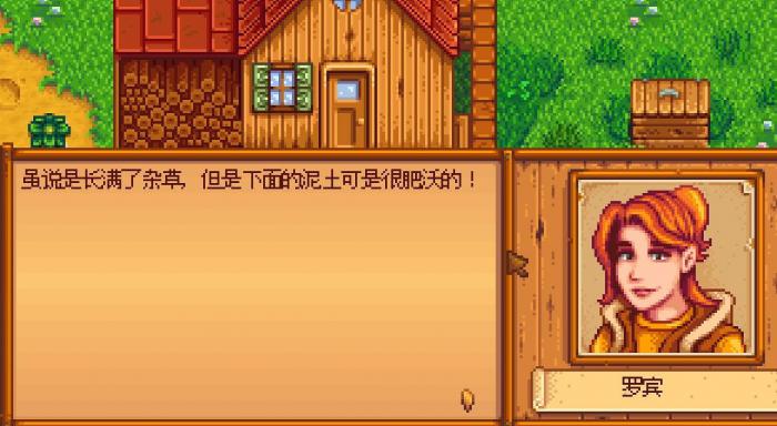 星露谷物语怎么娶罗宾3