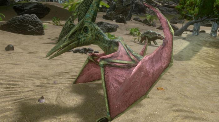 方舟生存进化翼龙要如何抓捕3