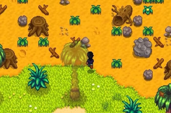 星露谷物语哪里有卖硬木1