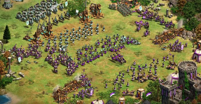 帝国时代2兵种搭配组合怎么配4