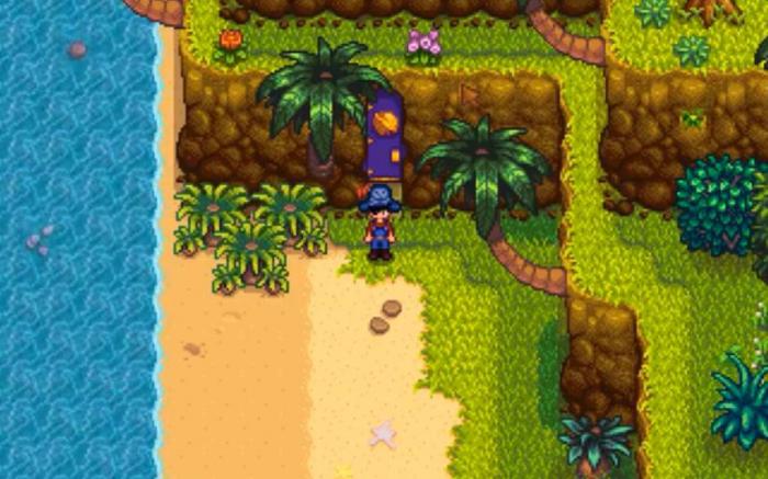 星露谷物语五彩任务中蓝色任务如何完成1