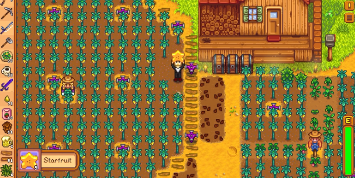 星露谷物语第一年夏天种什么2