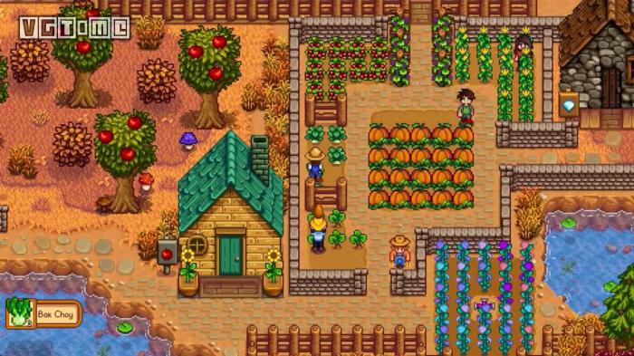 星露谷物语什么农场最漂亮1